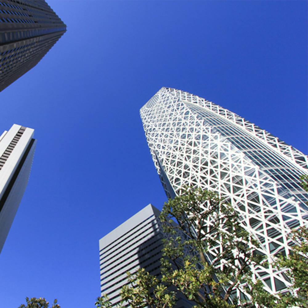 損害保険ジャパンの新卒採用情報 説明会情報 企業研究 選考対策ならone Career