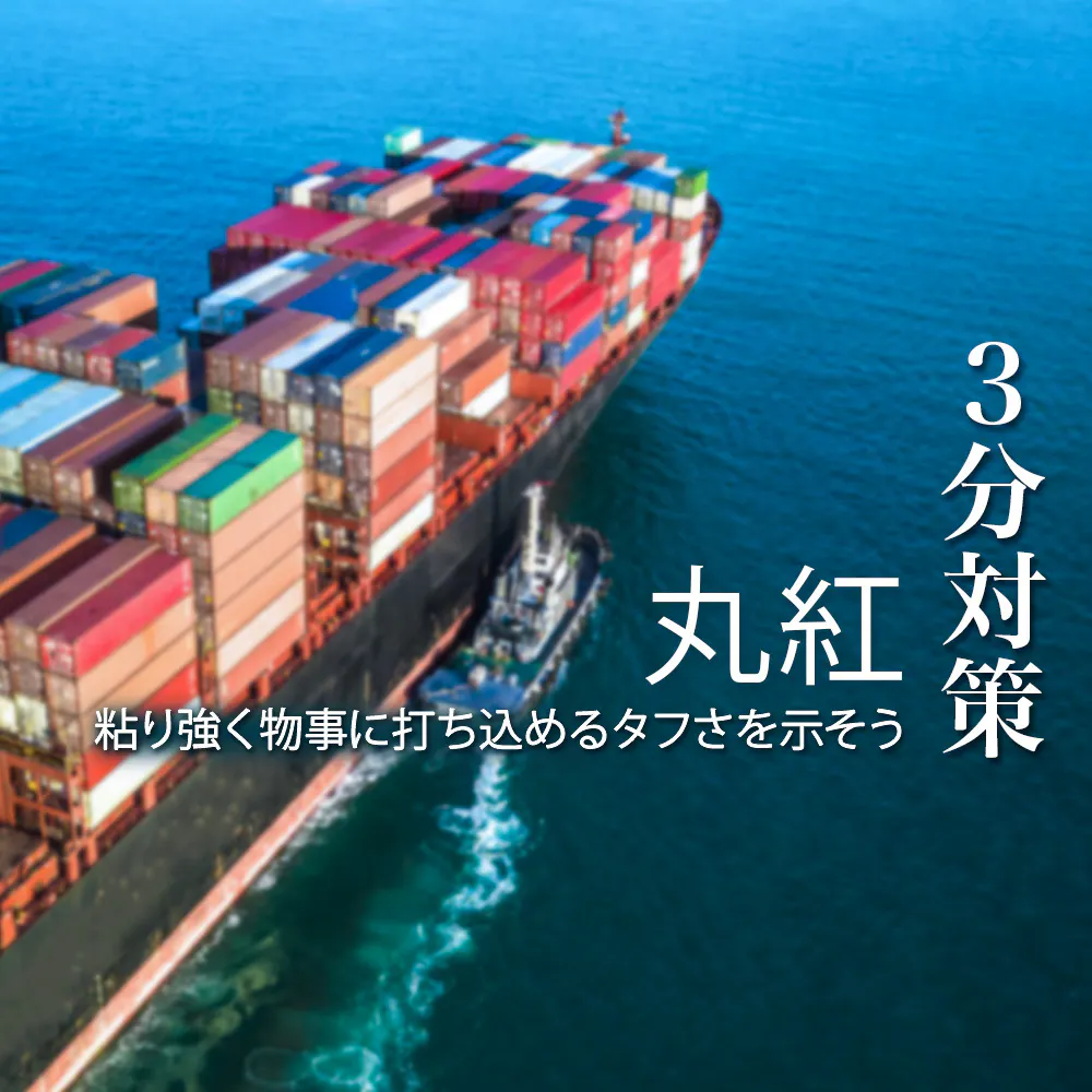 【丸紅:3分対策】非財閥ゆえの自由度が魅力の総合商社。挑戦者の立場だからこそ、「粘り強さ」が求められる。本選考の対策ポイント【23卒向け】