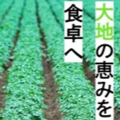 丸進青果(愛知県)