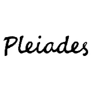 プレアデス(人材)