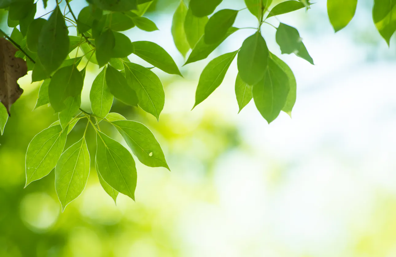 Environmental Considerations　環境に配慮した素材開発・提供