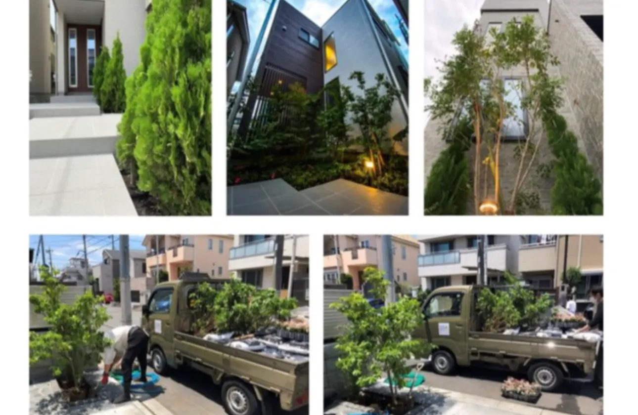 ◆ONE TREE, MAKE A FOREST PROJECT◆