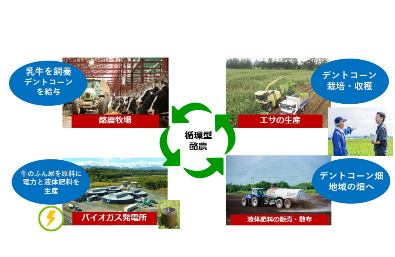 耕畜連携を通じて「資源循環型酪農経営」を大規模に展開