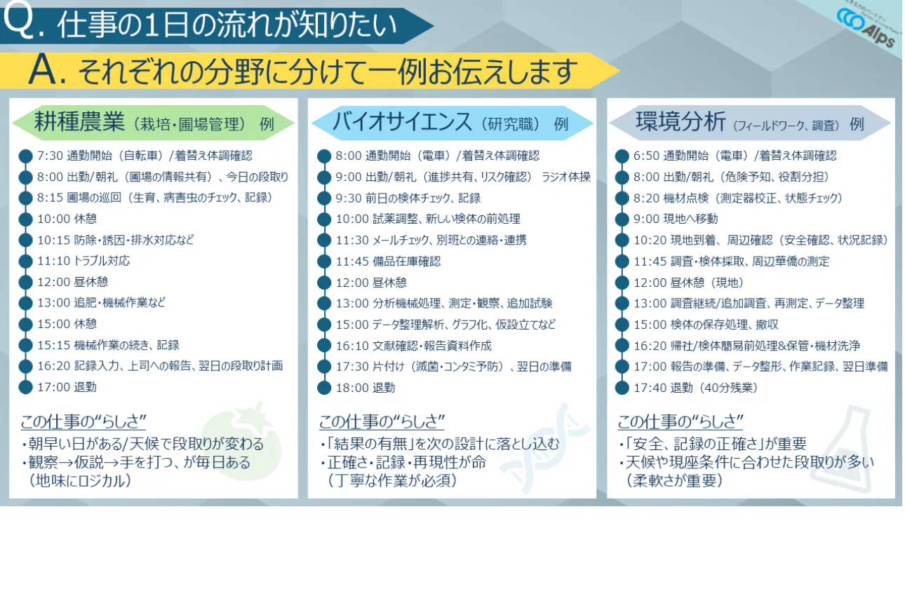 入社後の仕事イメージ(1日の流れ例)
