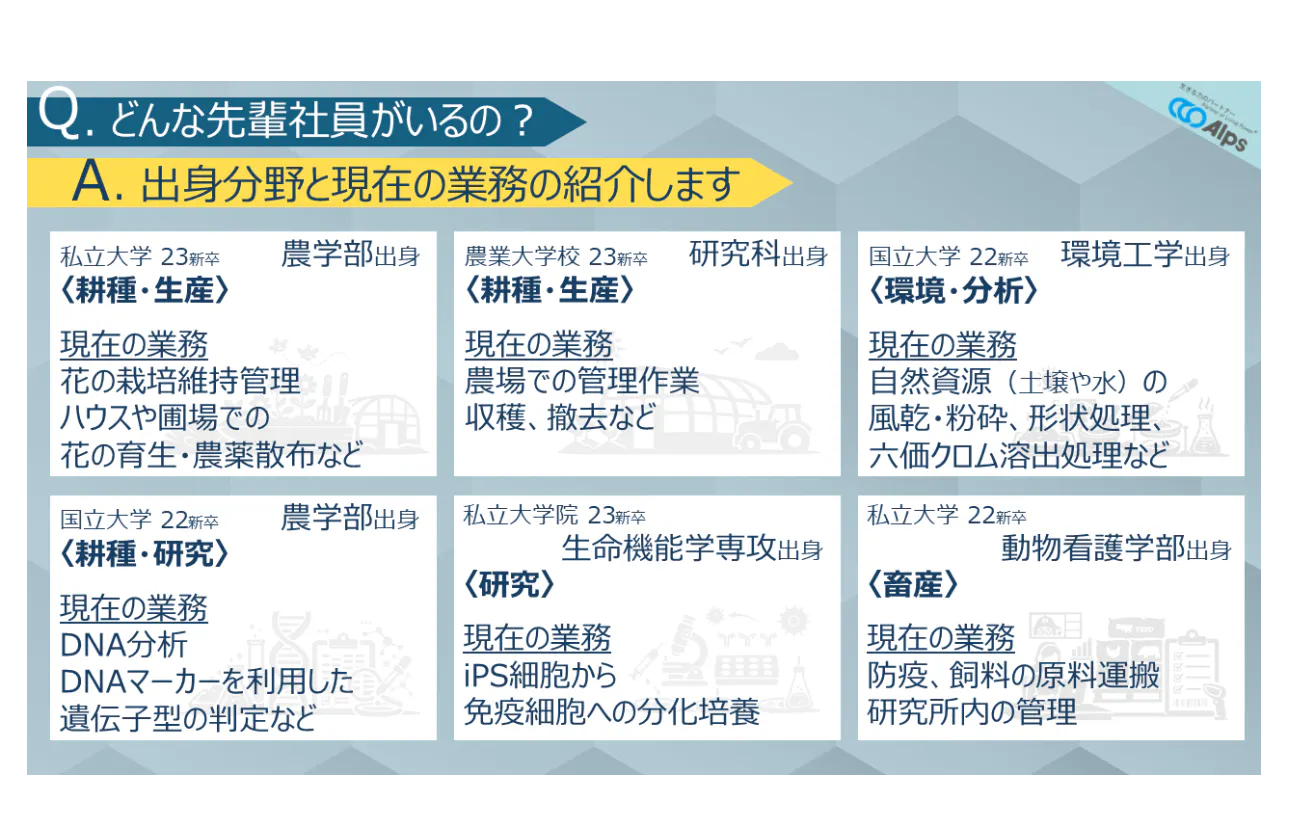 先輩社員情報の紹介
