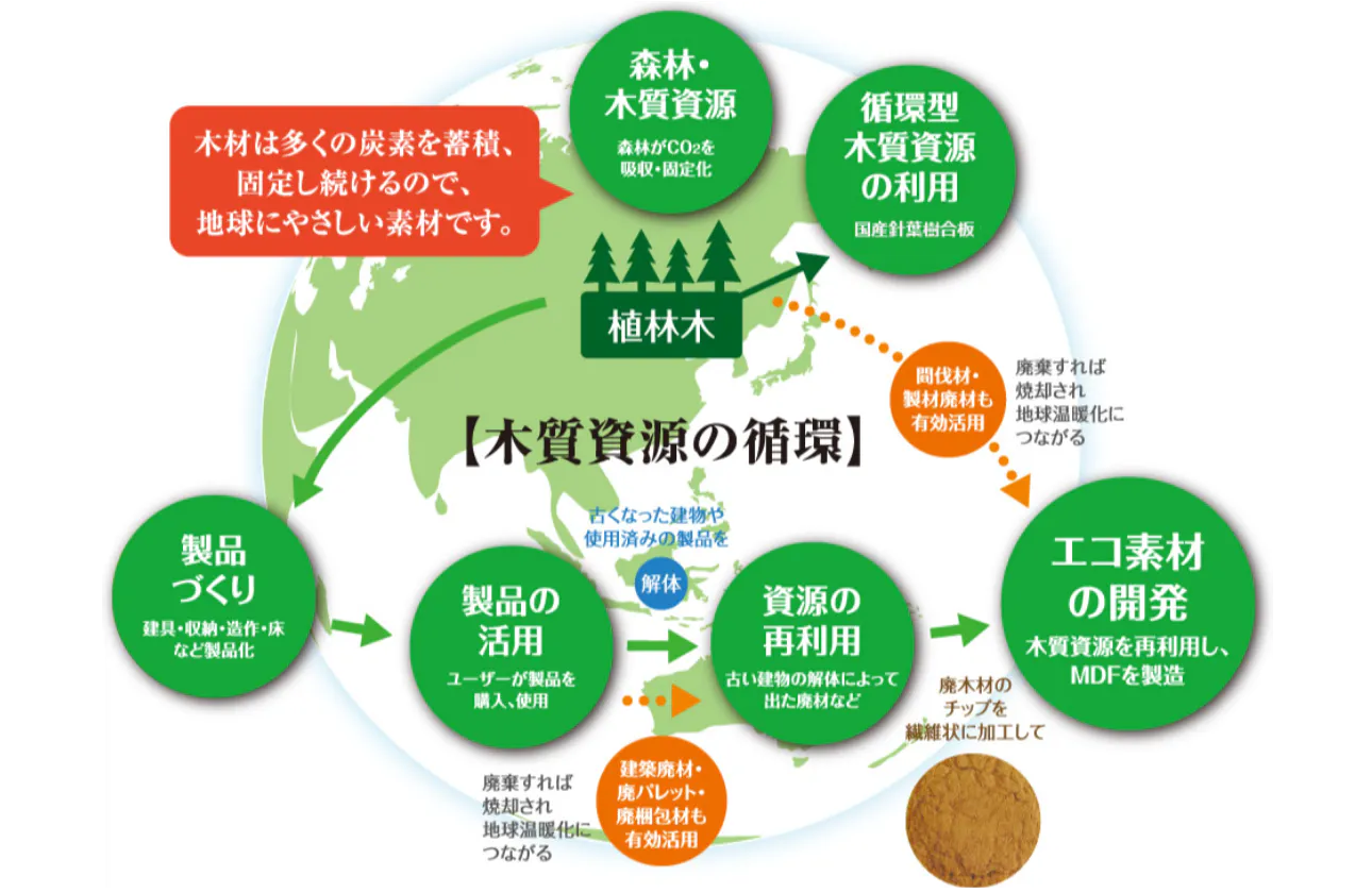 森林循環への貢献