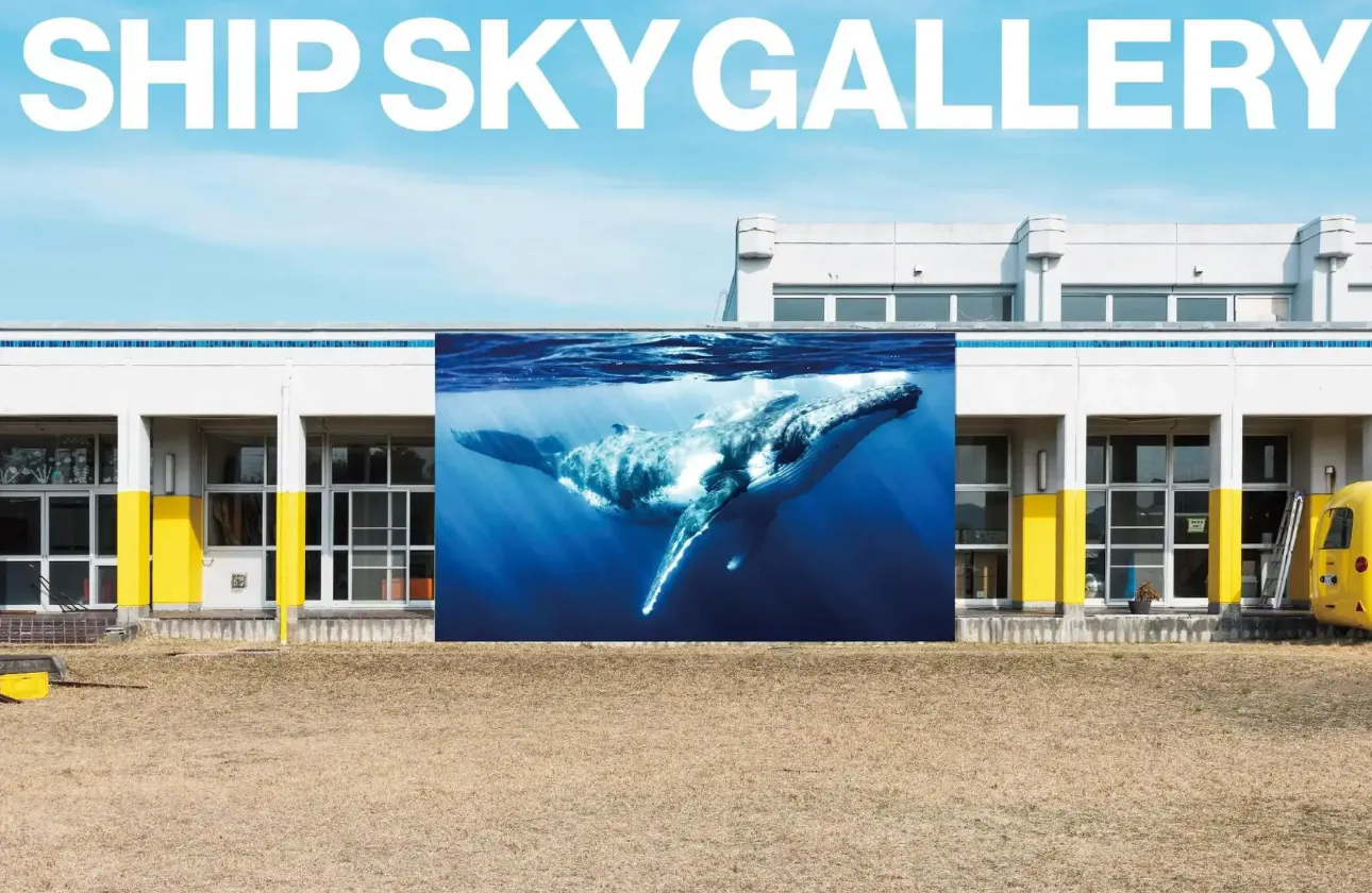 SOCIAL ACTION / SHIP SKY GALLERY 青空動物写真展