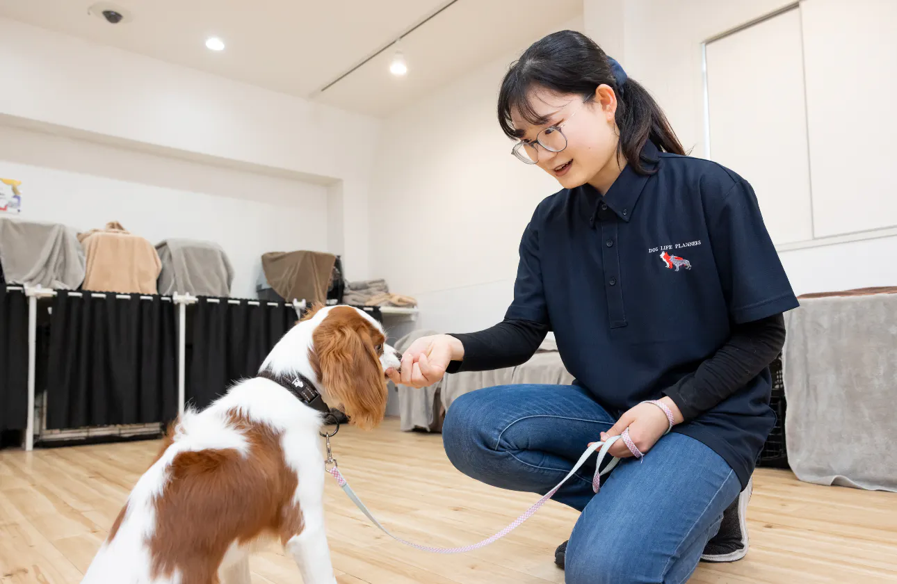最初は誰でも未経験です。犬についての知識や技術は、研修とOJTでしっかりと身につきます！