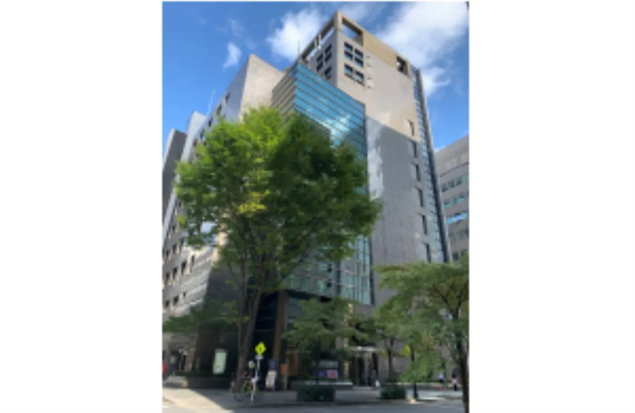 未経験からトップレベルのIT技術者として活躍することが可能!将来はグローバルIT人材としてのキャリアも。