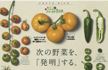 世界拠点15か国。180年以上にわたり、「食」と「農業」の未来を創ってきました。