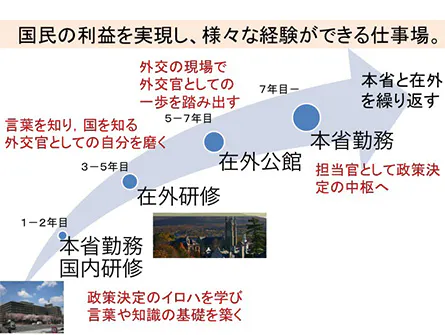 キャリアパスと研修:成長の場